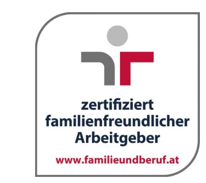 audit beruf und familie