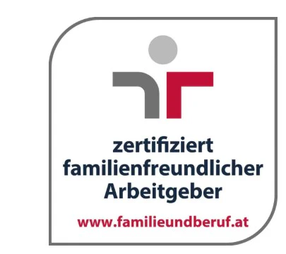 audit beruf und familie