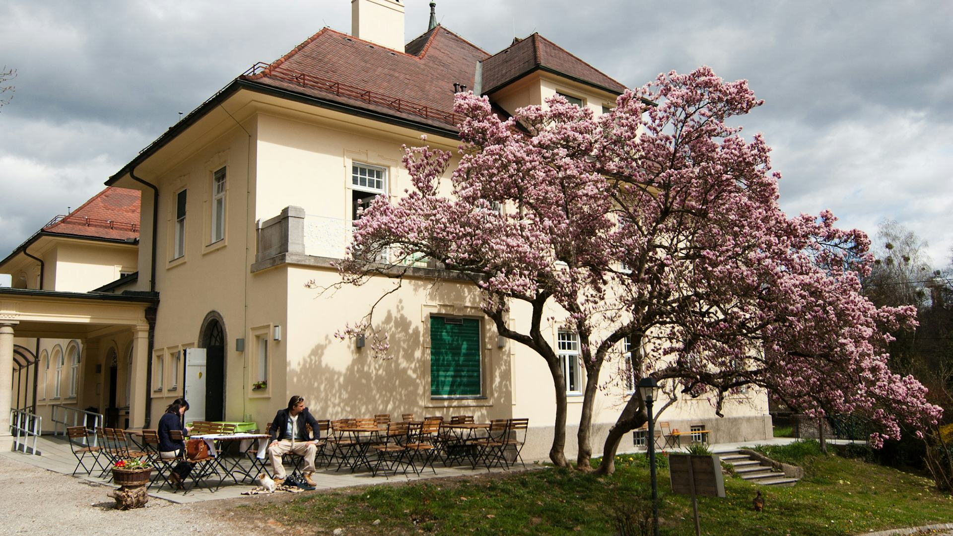 Foto von der atempo Villa im Frühling mit blühendem Magnolienbaum