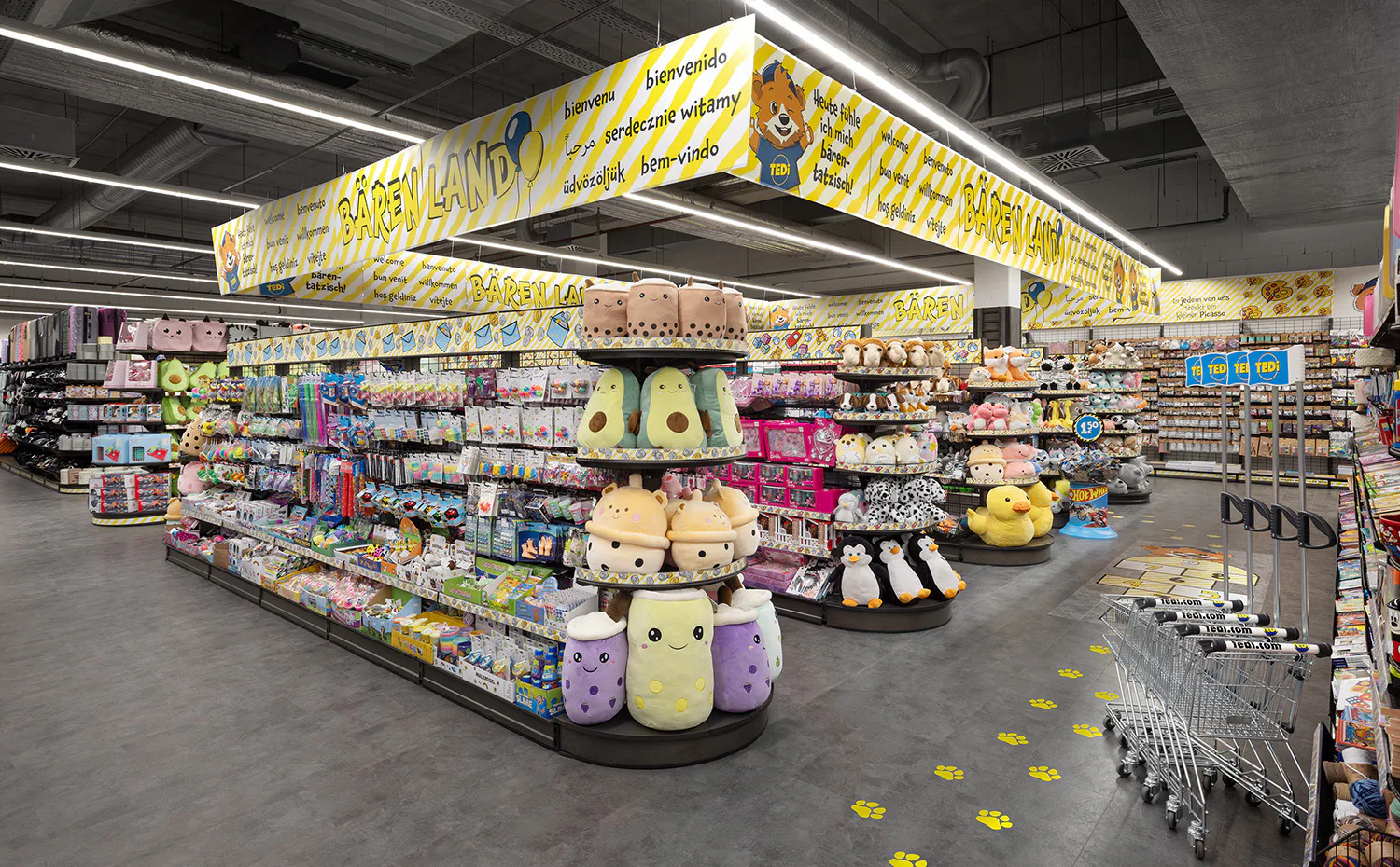 Einblick in das Bärenland Einblick in das Bärenland