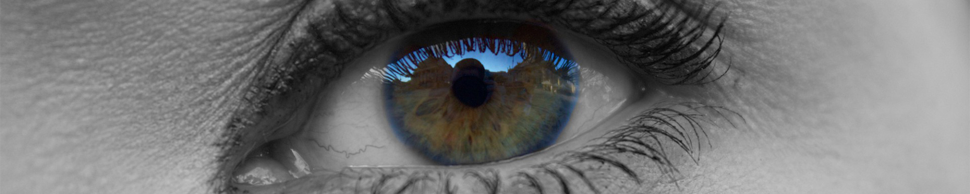 Beruf + Berufung: «Im Alter zwischen 50 und 80 ist das Potenzial am größten»