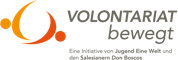 Logo of VOLONTARIAT bewegt