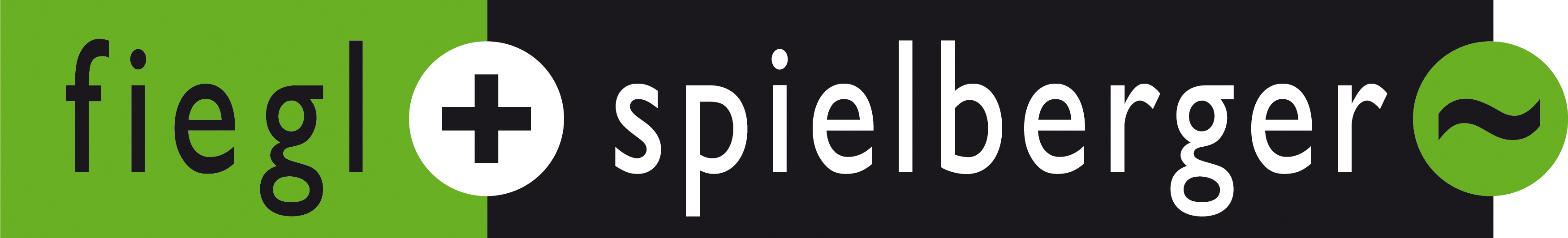 Logo of Fiegl & Spielberger