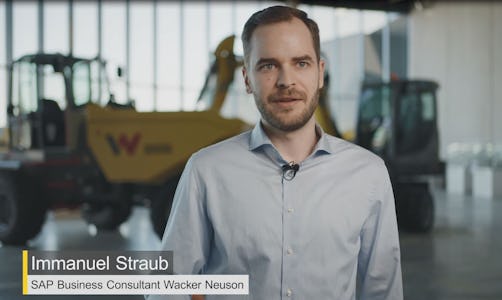 Immanuel Straub - SAP Business Consultant