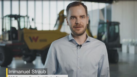 Immanuel Straub - SAP Business Consultant